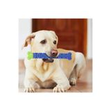 BE ACTİVE Diş Fırçası Çubuğu Evcil Hayvan Azı Dişi Sopa Köpek Dişi Temizleme Çubuğu Silikon Dayanıklı