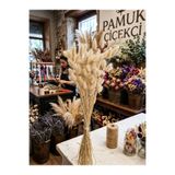 Be Candlous 80 Dal Doğal Kurutulmuş Pamuk Otu - 40 cm - Vizon Bej Tavşan Kuyruğu