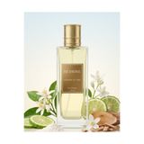 Be dione – Aella (K14) Kadın Parfümü 50 ml | Kalıcı Çiçeksi – Meyvemsi – Amber Eau de Parfum