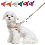 BEA Mesh Köpek Koşum Takımı Bej XS