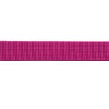 Beal Flat Tape 26 mm X 100 m Perlon Bant