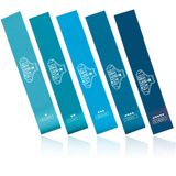 Bear Grips Egzersiz için Elastik Direnç Bantları - Ev Spor Salonu Ekipmanları Elastik Bantlar Kalça Egzersiz Ekipmanları Yoga Blokları Pilates Kalça Bacakları Uyluk - Denizin Tonları (5'li Paket)