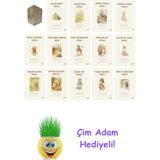 Beatrix Potter 15 Kitap Seti + Çim Adam Hediye - Hayır