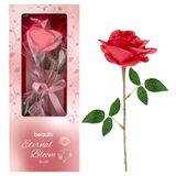 Beaulis Eternal Bloom Gül Allık 333 Rosy Veil