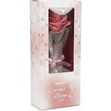 Beaulis Eternal Bloom Gül Allık - 333