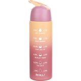 Beautiful Life Renkli 700 ml Gri Pc Matara - Suluk - Pembe