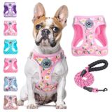 BEAUTYZOO Köpek Koşum Takımı ve Tasma Setinde Adım, Çiçek Desenli Yansıtıcı Köpek Koşum Takımı Çekme Yok Küçük Orta Büyük Köpekler için Köpek Koşum Takımı Kediler, Kız ve Erkek Evcil Hayvanlar için