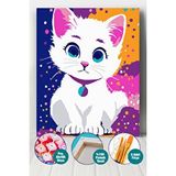 Bebek Kedi Sayılarla Boyama Seti