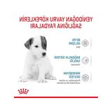 Bebek Köpek Sütü, 400 Gr, Büyüme Desteği