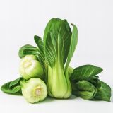 Bebek Pak Choi Çin Lahanası Tohumu 100+ Adet