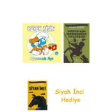Bebek Şirin - Oyuncak Ayı (Ciltli) + Dünyanın Merkezine Yolculuk + Siyah İnci Hediye