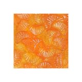 BEBETO Portakal Dilimi 1000 Gr. Yumuşak Şeker