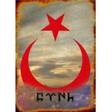 Bedeko Ahşap Tablo Ahşap Türk Bayrağı Ve Ayyıldız Hediyelik Mdf Tablo