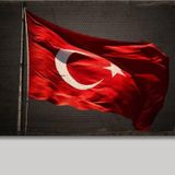Bedeko Ahşap Tablo Direkte Türk Bayrağı Baskılı