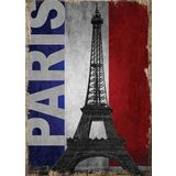 Bedeko Fransa Bayrağı Ve Paris Mdf Poster