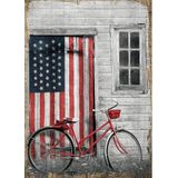 Bedeko Kırmızı Bisiklet Ve Amerikan Bayrağı Mdf Poster
