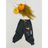 Bedi Baby Erkek Bebek Dinozor Desenli Eşofman Altı Çocuk Pantolon - 1 Yaş - Füme