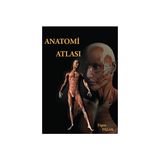 Bedray Basın Yayıncılık Bedray Yayınevi Anatomi Atlası