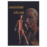 Bedray Yayınevi Anatomi Atlası - Figen Palak