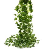 Beebel Ivy Leaves 12 adet yapay sahte yapraklar, asmak için, vines yapraklar, çelenk, ev, bahçe, şiir kostümü