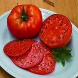 Beef F1 Sırık Kahvaltılık Etli Domates Tohumu (10 Tohum)