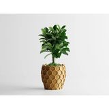 Beehavia Dekoratif Saksı - Beyaz Modern Modern Bitki Saksısı 7,5 cm - 76x76x75mm