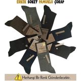 Beemu Mısırlı 60002 Erkek Organik Pamuk Soket Çorap - Asorti