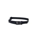 Beeztees 22-35 cm 10 mm Çeşitli Renklerde Yavru Köpek Boyun Tasması