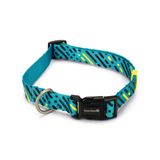 Beeztees 48-70 cm 25 mm Turkuaz Köpek Tasması