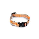 Beeztees Açık Gri Turuncu 26-40 cm Köpek Boyun Tasması
