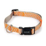 Beeztees Açık Gri Turuncu 48-70 cm Köpek Boyun Tasması