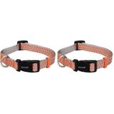 Beeztees Köpek Boyun Tasması, Açık Gri Turuncu, 35-50cm (2 paketi)