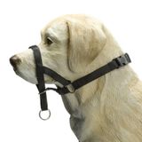 Beeztees Köpek Eğitim Tasması, Siyah, M