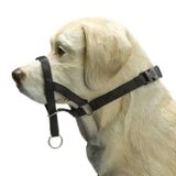 Beeztees Köpek Eğitim Tasması, Siyah, S