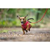Beeztees Köpek Göğüs Tasması, Neopren, Kırmızı, Xs, 30-35Cm