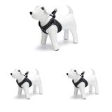Beeztees Köpek Göğüs Tasması, Neopren, Siyah, S, 38-44cm (3 paketi)