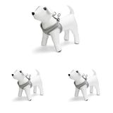 Beeztees Köpek Göğüs Tasması, Neopren, Yeşil, S, 38-44cm (3 paketi)