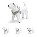 Beeztees Köpek Göğüs Tasması, Neopren, Yeşil, XS, 30-35cm (4 paketi)