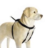 Beeztees Köpek Yürüyüş Eğitim Ve Düzeltme Tasması, L