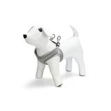 Beeztees Neopren Yeşil S 38-44 cm Köpek Göğüs Tasması