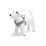Beeztees Neopren Yeşil XS 30-35 cm Köpek Göğüs Tasması
