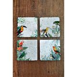Begoloni Doğal Taş Bardak Altlığı 4'lü Set 10X10X1 cm Tropikal Kuşlar Baskılı Stone Coasters - 10 x 10 x 1 cm