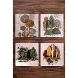Begoloni Doğal Taş Bardak Altlığı 4'lü Set -Ağaç Desenli - - 10 x 10 x 1 cm