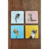 Begoloni Doğal Taş Bardak Altlığı Renkli Kediler Baskılı 4'lü Set - 10 x 10 x 1 cm