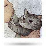 Begoloni Doğal Taş Nihale 20X20CM Yaramaz Kedi Baskılı Taş Nihale Çaydanlık Altlığı-Tencere Tava Altlığı