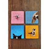 Begoloni Stone Decor Doğal Taş Bardak Altlığı Renkli Kedi Ve Köpek Baskılı 4'lü Set