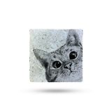 Begoloni Stone Decor Doğal Taş Nihale 15x15cm Kedi Baskılı Taş Nihale Çaydanlık Altlığı-tencere Tava Altlığı