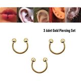 Begonia Accessories 316L Cerrahi Çelik, 6 mm Çap, 3 mm Toplu, 3 Adet Altın Kaplama Septum Piercing Set, Kaş, Dudak, Burun, Kulak Kullanımına Uygundur