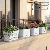 Begonya Balkon Saksı (4, Beyaz)