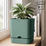 Begonya Kare Saksı Mat Drenajlı Tabaklı Plastik Saksı (1 Adet, Yeşil, 1.5 Litre)